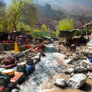 Excursión al valle de Ourika